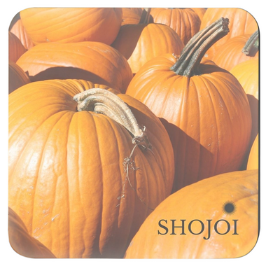 Fall Coaster Set